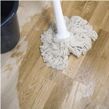 Verarbeitung und Anwendung WoCa Wood Cleaner Wood Cleaner is suitable for the basic cleaning of wood surfaces, irrespective of the basic finish.